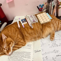 ÿ�춼�����������Ҫ��������