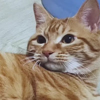 Сè��������������缶�ĲƸ�