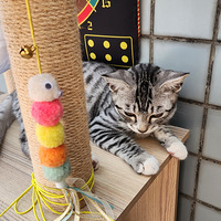 ���̴�������