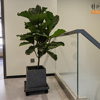 ��ʱ11�µĻ鷿װ����ɣ���ĸ��˵���ܺá�