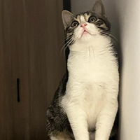 �����ϰ�����˯�����������������¾���