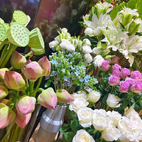 ������ڵĺɻ���ֱ̫���ˣ������ȥ��һ����򲻵���