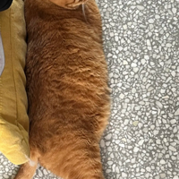 ������ı���13��������