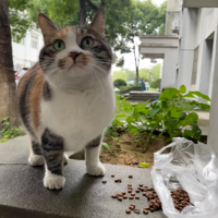 �ռ�ؼҵ�������Ů����