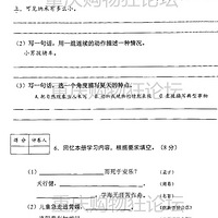 2022-2023ѧ꼶ĩԾ
