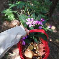 ����·������Ұ����������˭��ʶ��ЩĢ��