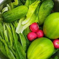 �ֲ˵���Ȥ��������Ŷ