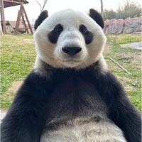 ����è�����������ϰɣ�������ˣ�