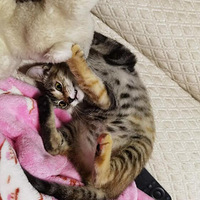 ��ס���Һ���Ŷ