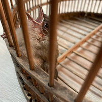 ����ʲôƷ�ֵ���ѽ��