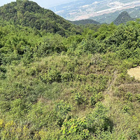 ��¼�Խ��������������з������м�