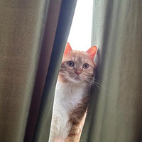 ���������ҿ����Ҽ��ٱ�