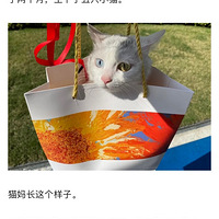 ��è������