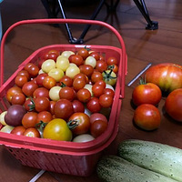 ���Ѳ��չ�����