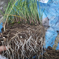 ���������������ϵı����ˣ������һ����ذ��