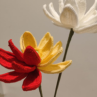 ����������û��ʳ��