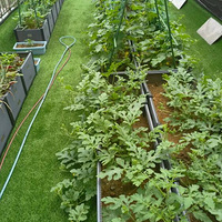 �еûţ���¶̨����һЩ�Ϲ��߲�