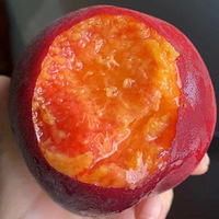 һ óԵĶ