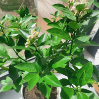 ����������ˡ� �ɾ͸�����