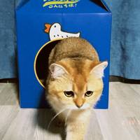 �����������ùԺù�ѽ��