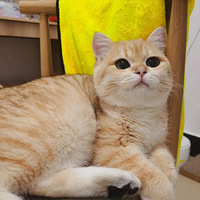 ʵ��ڹ�͡����֣�ֻ��ë���޵ġ�