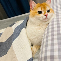 ����5��׼ʱ�ṩ���ѷ���˭���Ⱦ���