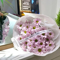 ��ֹõ���а���