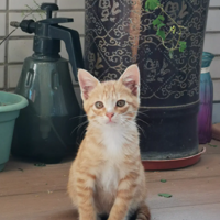 �ҵı����ǰ����װ���������