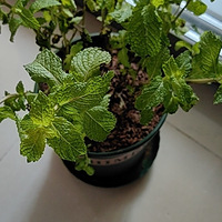 ����һ��