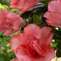 �ž黨���ܿ�������3�¿���7��