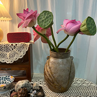 �ɻ������������̫����