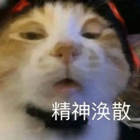 ˣ¿ֱԽĸֻ20棬