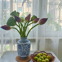 �����޶����ɻ�