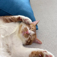 ��ee�����������Ǽҵĵ�Ƥ������