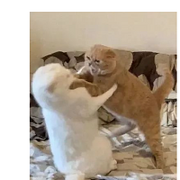 &ʶ̨ͬһ֮ǰս