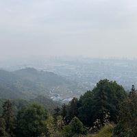 ԶȰԼ