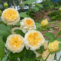 ����Ҷ�����¸�ʪ���ܱ�����ֵ���¼�