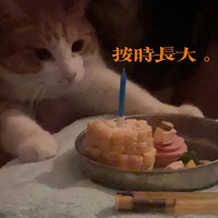 ���������׵ı��������տ�