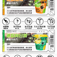 �������տ�