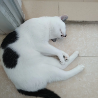 ���Ǻð����ҽ�����