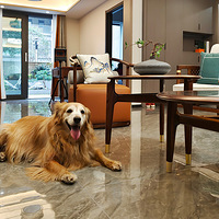 ��װ����ʽ�����Һʹ��бȣ����Һ��޹���������