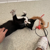 ���ҿ�һ���С��