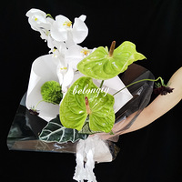 һ������ʦ���ʻ��ճ�