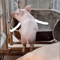 ЦŴ