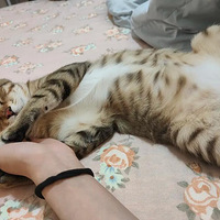 �˿�����ĺð��ҵ����꣡