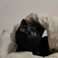 ��ʱ��ϸ����è������һ�ֲ���