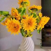 �������������տ���