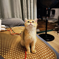 �Լҽ𽥲����ֻ�����һ���ܵ�ת��