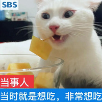 �ҼҰ�è��ĺܹ���