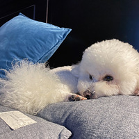 ��ϲ�����Ǽҹ���